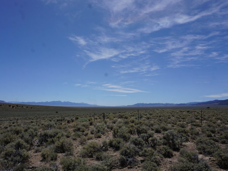 Open desert